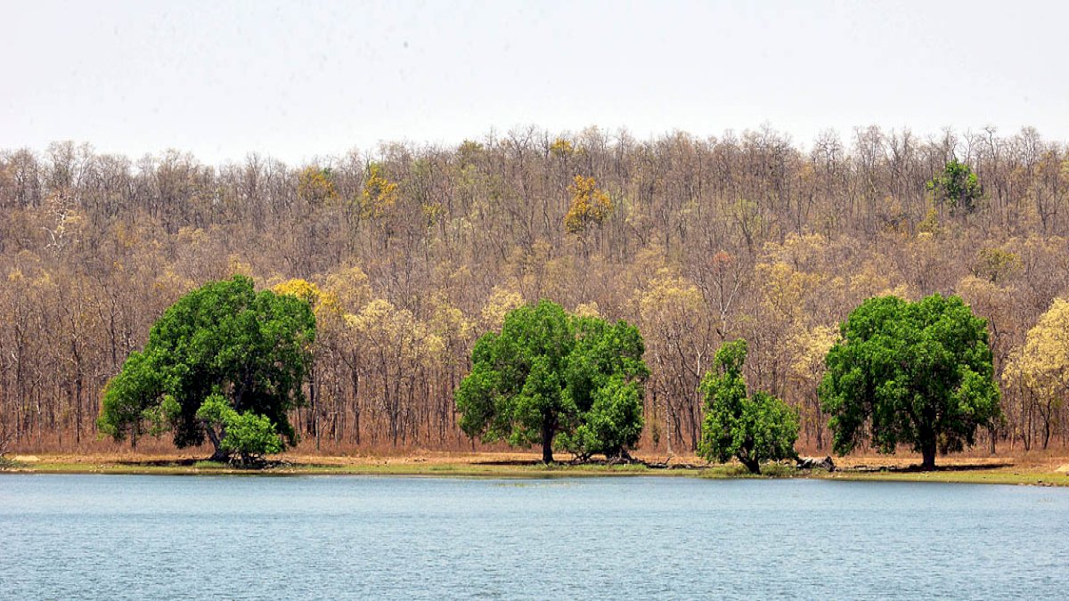 Destressing in Tadoba