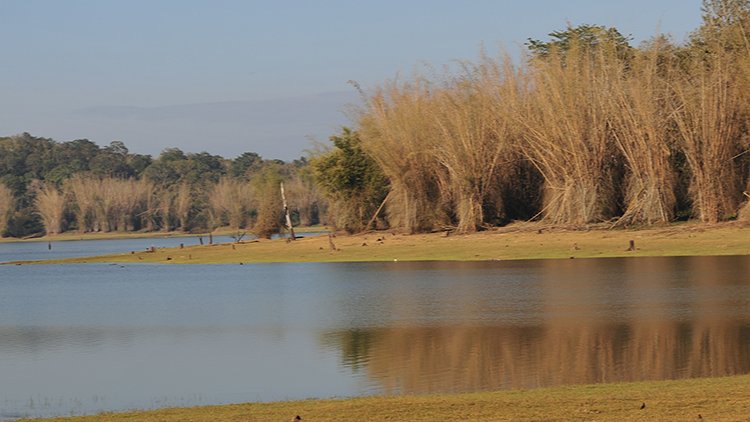 Kabini National Park