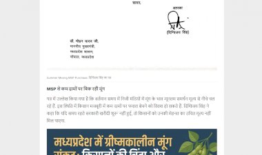 MP में ग्रीष्मकालीन मूंग की खरीदी के लिए CM को लिखा पत्र MSP पर शीघ्र खरीदी की मांग